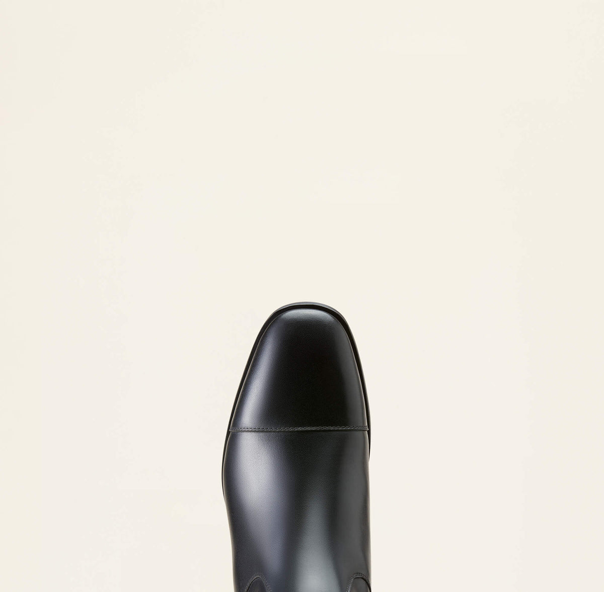 Ariat Ravello Dress Tall Riding Boot Outlet