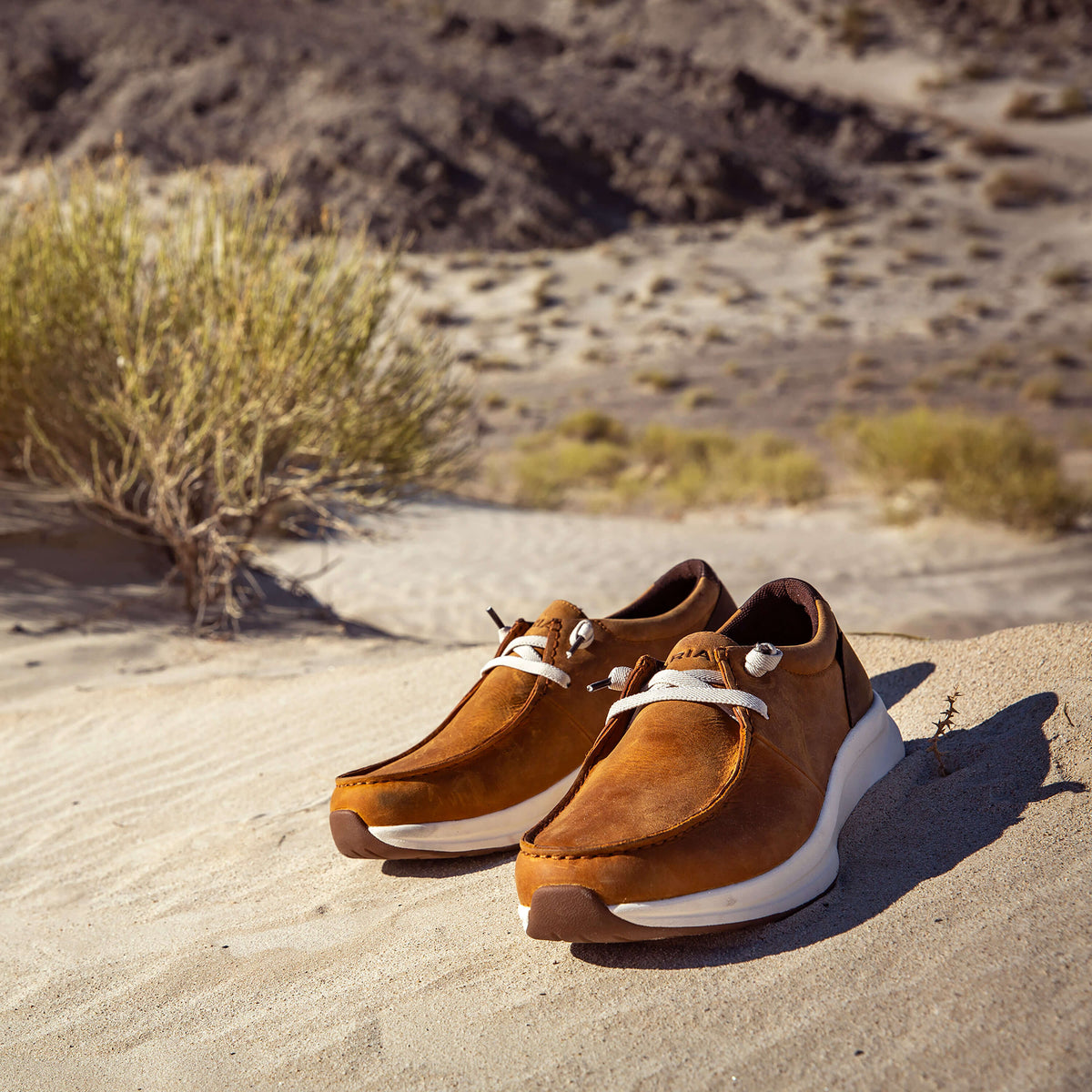 Ariat Buckeye Waterproof Shoe Online
